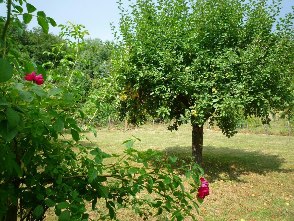 Appartement La Madonnina Bad Breisig